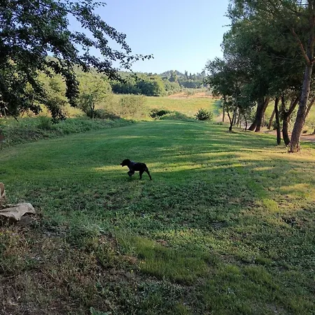 Appartement La Casa Dei Breton Magione