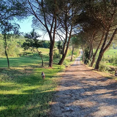 Appartamento La Casa Dei Breton Magione
