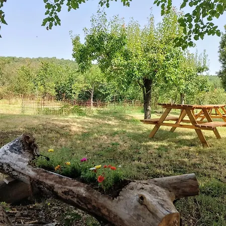 La Casa Dei Breton 公寓 *