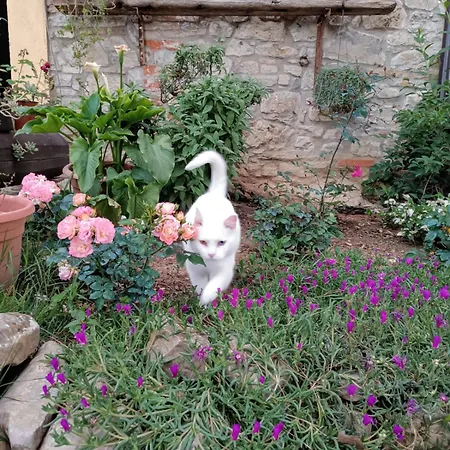 La Casa Dei Breton Appartement Magione