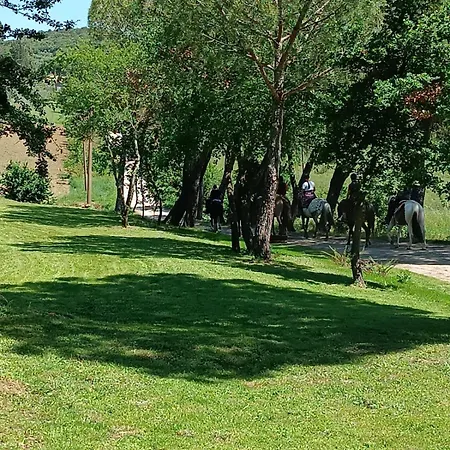 La Casa Dei Breton 公寓 *