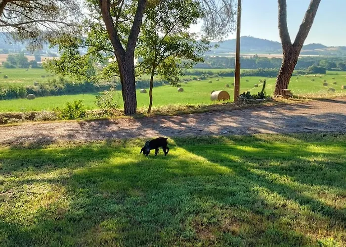 La Casa Dei Breton 아파트 마지오네